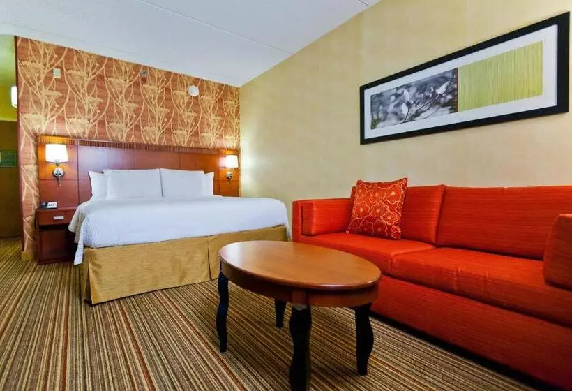 اتاق استاندارد با تخت بزرگ, Courtyard Chicago O'hare