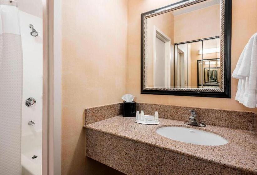 Suite com Varanda, Courtyard Chicago O'hare