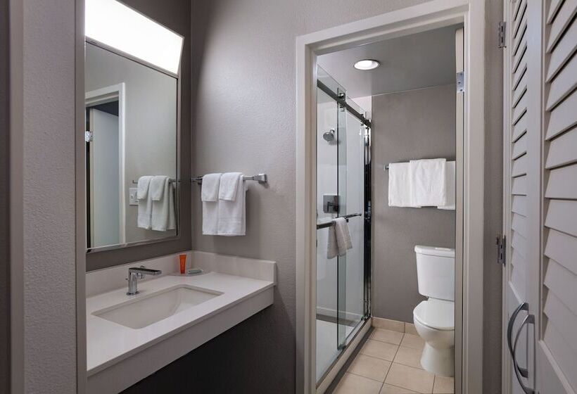 Habitació Estàndard 2 Llits Matrimoni, Courtyard By Marriott San Antonio Downtown