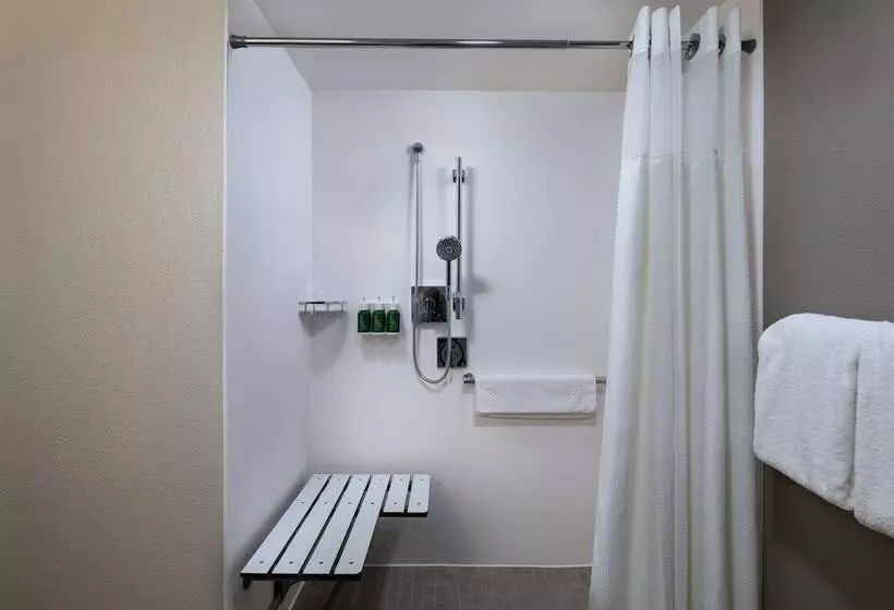 ２ダブルベッドのスタンダードルーム, Courtyard By Marriott San Antonio Downtown