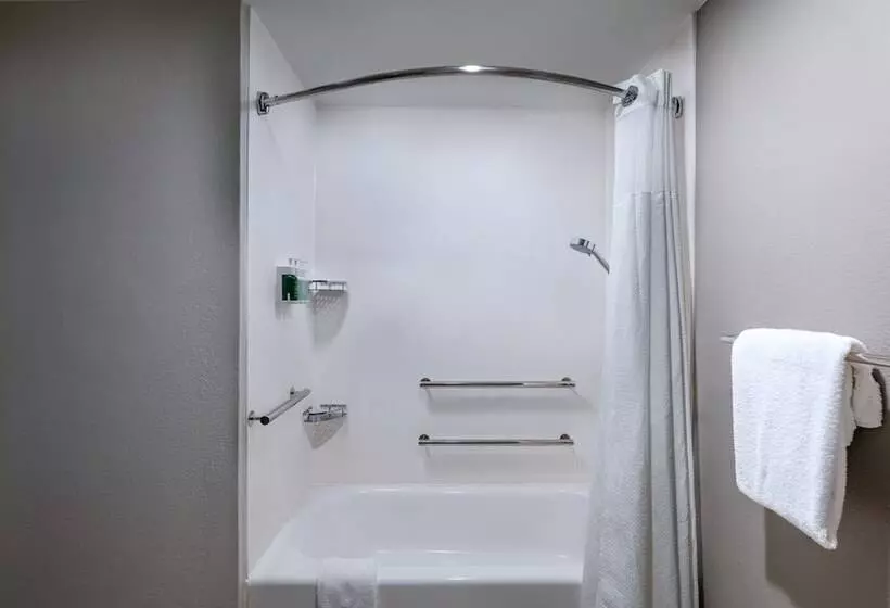２ダブルベッドのスタンダードルーム, Courtyard By Marriott San Antonio Downtown