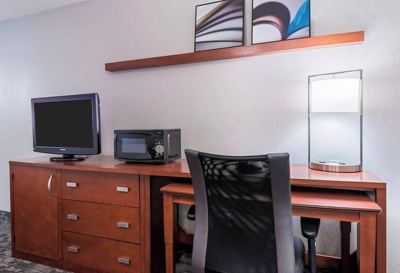 غرفه قياسيه سريرين مزدوجين, Courtyard Sarasota Bradenton Airport