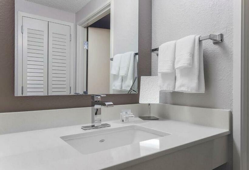 غرفة قياسية سرير كينج, Courtyard Tampa Brandon