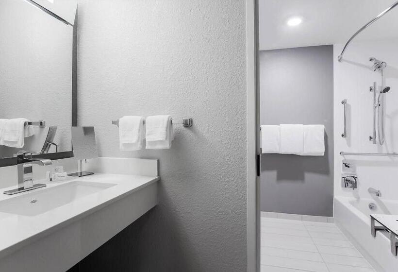 غرفة قياسية, Courtyard Tampa Brandon