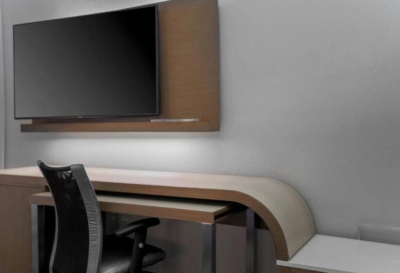 غرفة قياسية, Courtyard Tampa Brandon