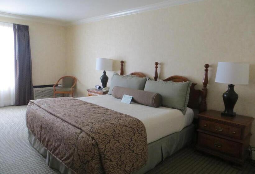 חדר דחוקס עם מיטת קינג, Cow Hollow Inn And Suites