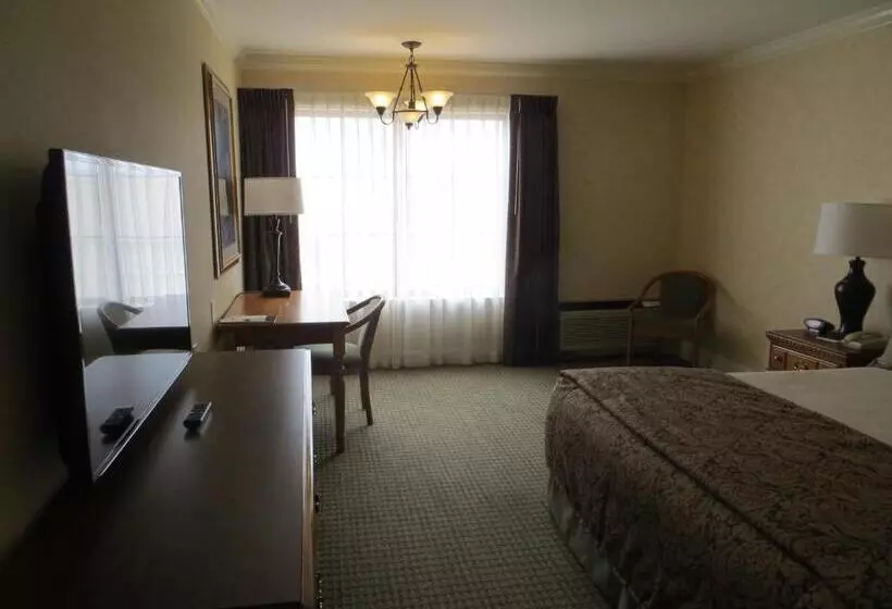 اتاق لوکس با تخت بزرگ, Cow Hollow Inn And Suites