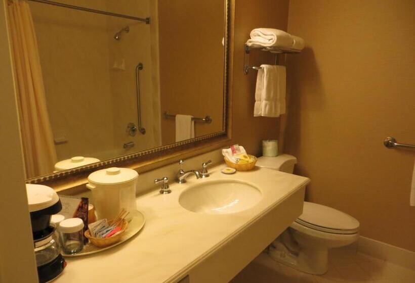 חדר דחוקס עם מיטת קינג, Cow Hollow Inn And Suites