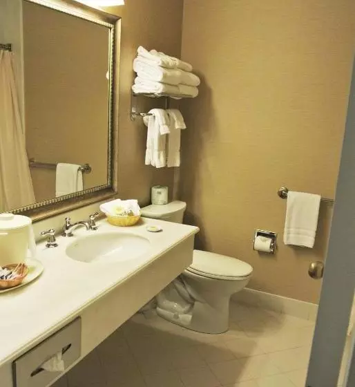 اتاق لوکس, Cow Hollow Inn And Suites