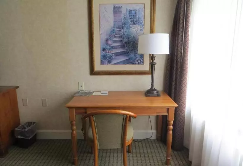 اتاق سوپریور, Cow Hollow Inn And Suites