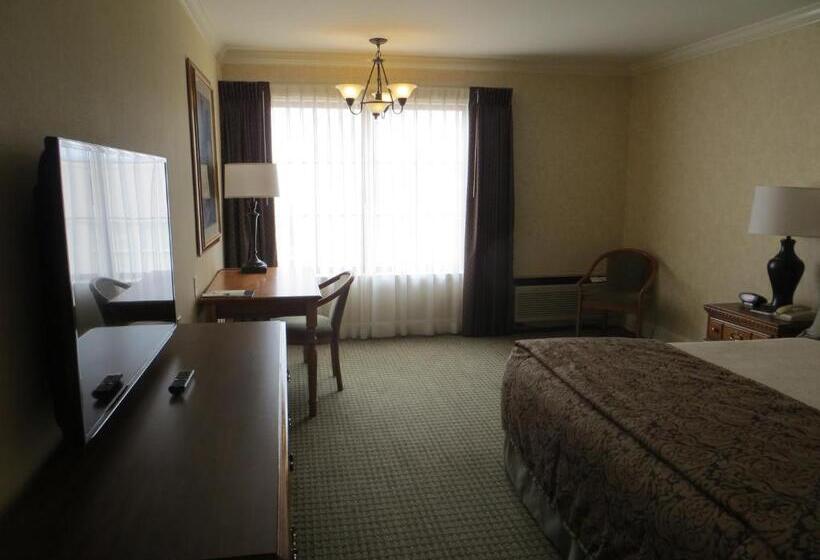 חדר סטנדרט עם מיטת קינג, Cow Hollow Inn And Suites