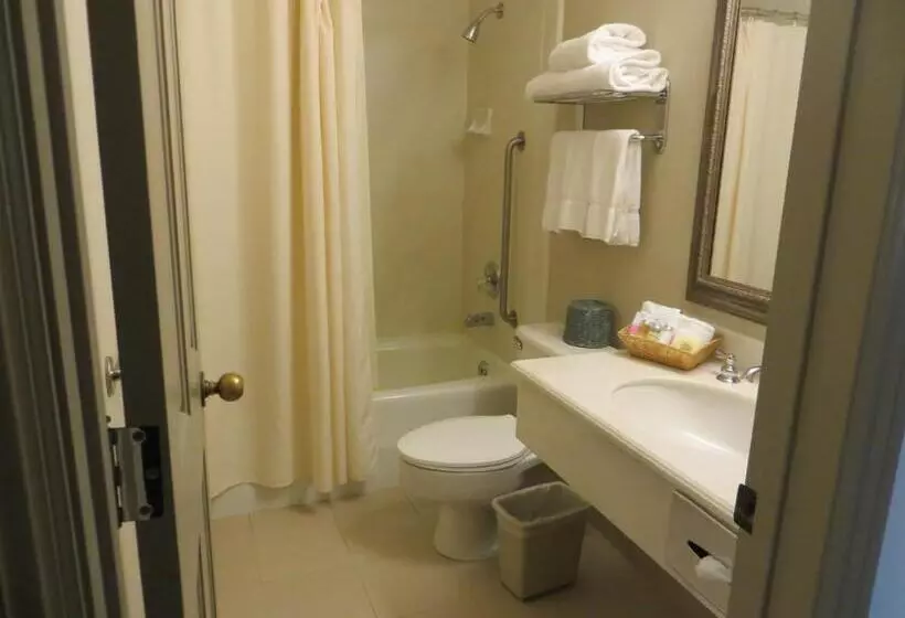 سوئیت 2 خوابه, Cow Hollow Inn And Suites