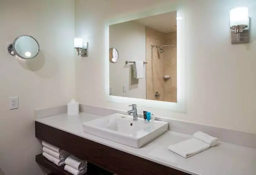 اتاق استاندارد, Crowne Plaza Springfield Convention Center, An Ihg
