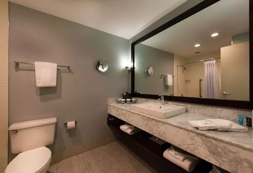 اتاق استاندارد, Crowne Plaza Springfield Convention Center, An Ihg