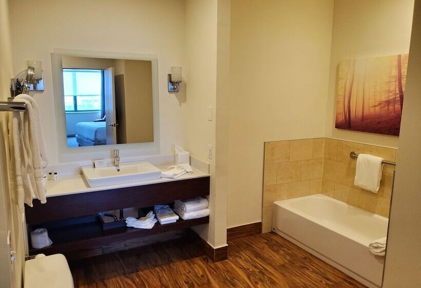 스위트, Crowne Plaza Springfield Convention Center, An Ihg