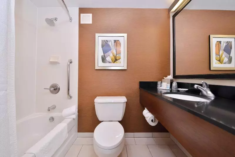 キングサイズベッドのスタンダードルーム, Fairfield Inn And Suites By Marriott Rochester West/greece