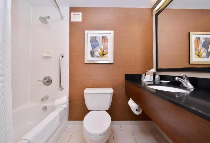 스탠다드 룸 킹사이즈 침대, Fairfield Inn And Suites By Marriott Rochester West/greece