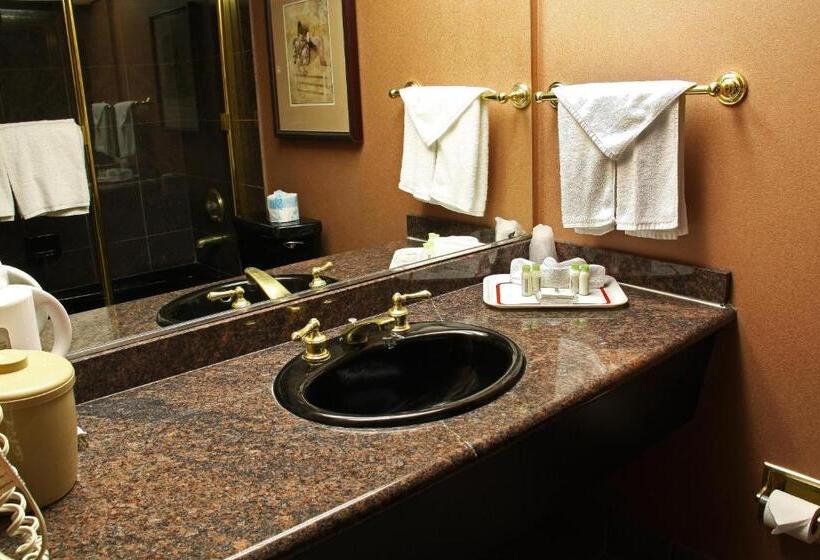 Номер бизнес-класса, La Crystal Hotel  Los Angeles Long Beach Area