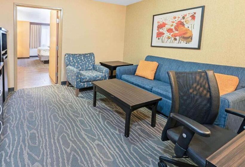 스위트 킹사이즈 침대, La Quinta By Wyndham Logan