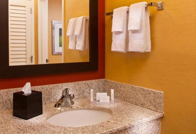 带大床的套房, Sonesta Select Birmingham Colonnade