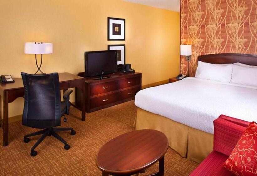 带大床的套房, Sonesta Select Birmingham Colonnade