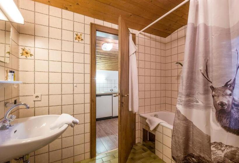 Апартаменты 1 Спальня, Haus Central