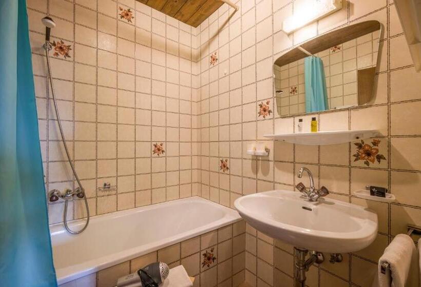 Апартаменты 2 Спальни, Haus Central