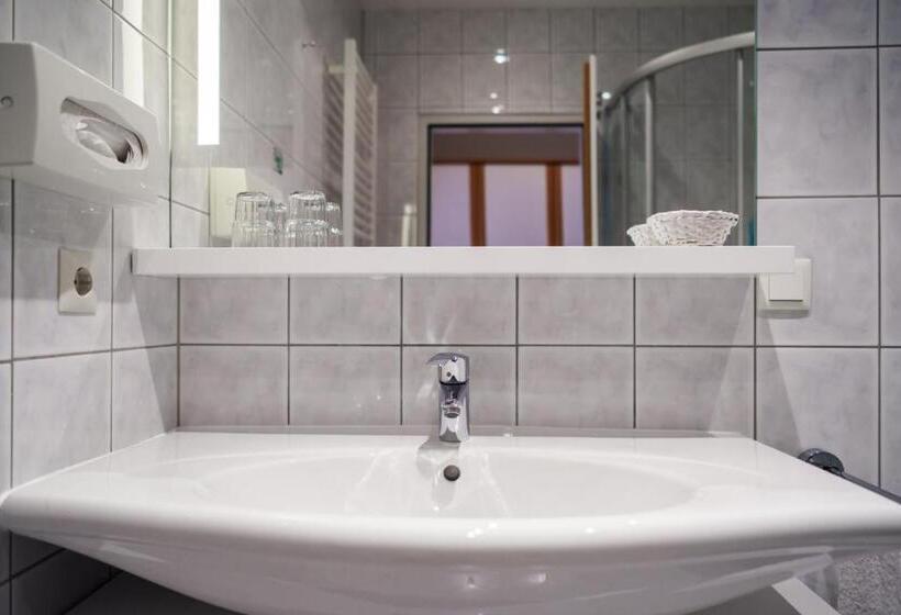 Номер Deluxe Вид на Озеро, Seehotel Vinzenz