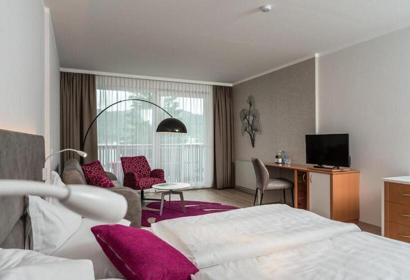 Номер Deluxe Вид на Озеро, Seehotel Vinzenz