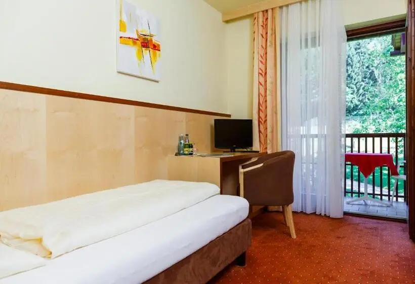 Standard Yhden Hengen Huone Parveke, Seehotel Vinzenz
