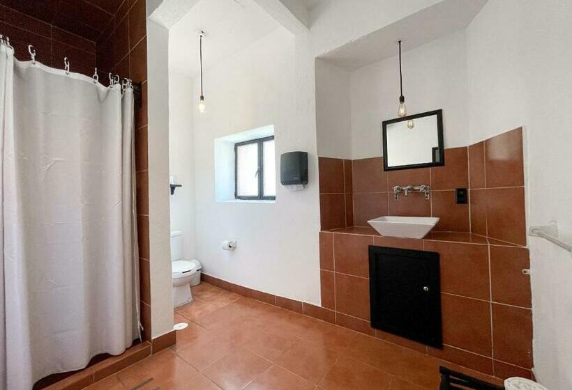 اتاق لوکس, Boutique Casa Catalá 1921