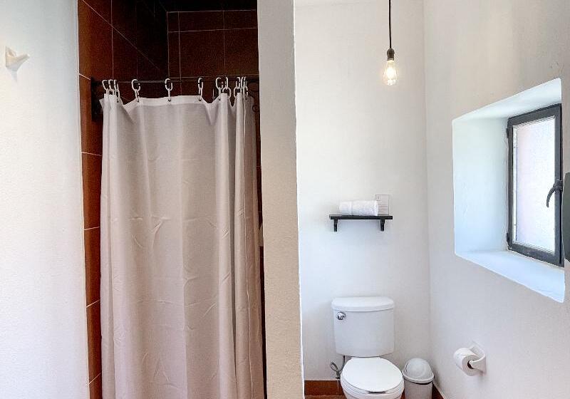 اتاق استاندارد, Boutique Casa Catalá 1921