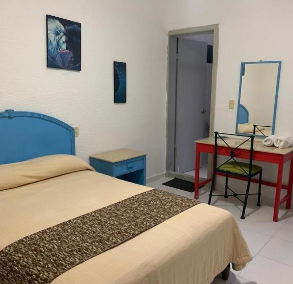 اتاق اکونومی, Tucán Veracruz