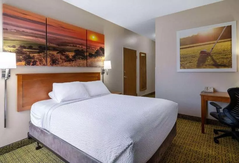 اتاق استاندارد برای معلولان, Days Inn & Suites By Wyndham Madison