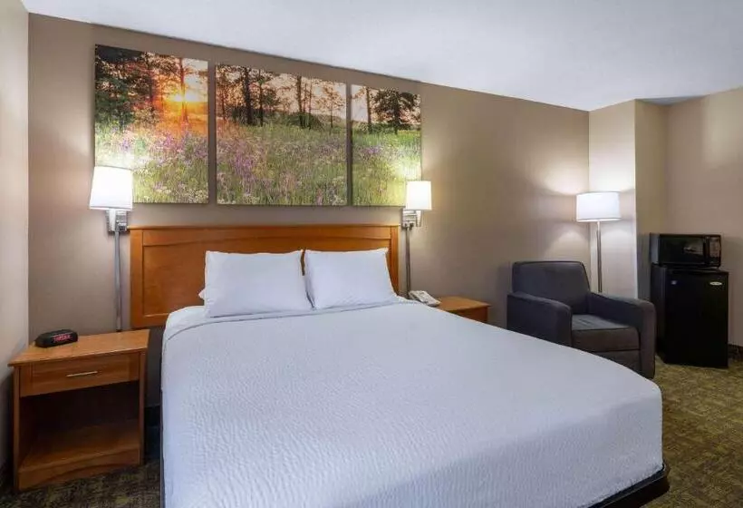 اتاق استاندارد برای معلولان, Days Inn & Suites By Wyndham Madison