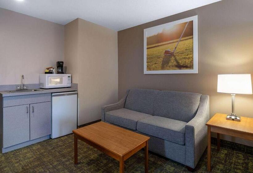 جناح سرير كينج, Days Inn & Suites By Wyndham Madison