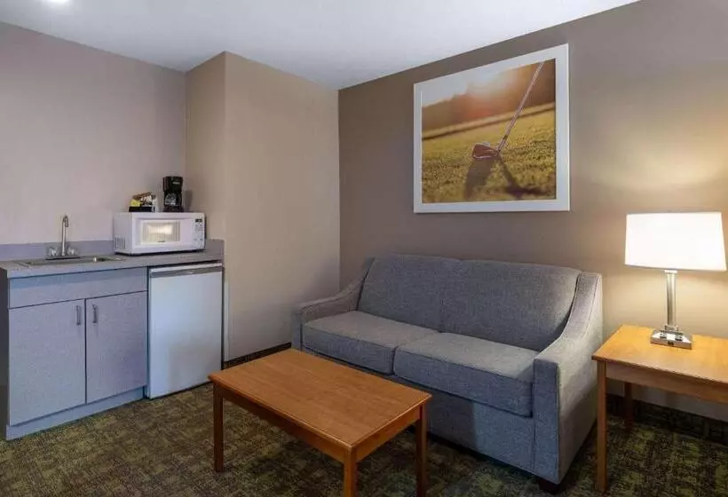 سوئیت با تخت بزرگ, Days Inn & Suites By Wyndham Madison