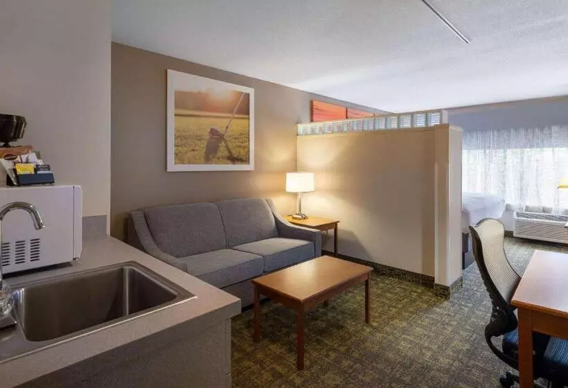سوئیت با تخت بزرگ, Days Inn & Suites By Wyndham Madison