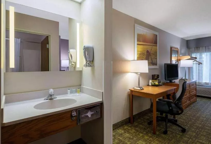 سوئیت با وان آب گرم, Days Inn & Suites By Wyndham Madison