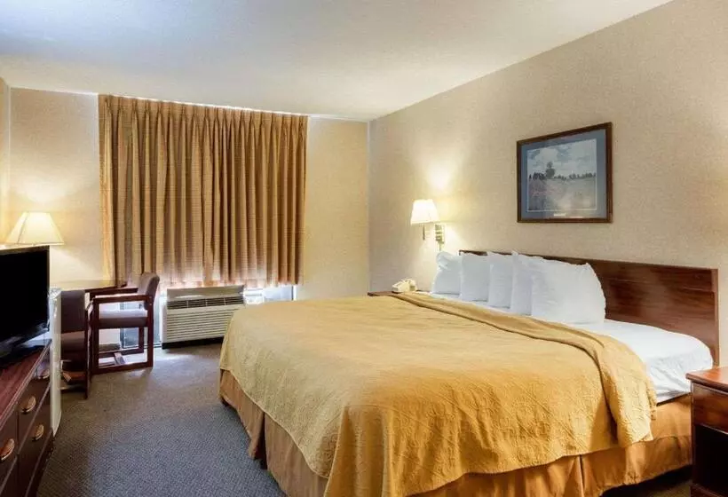 キングサイズベッドのスタンダードルーム, Quality Inn