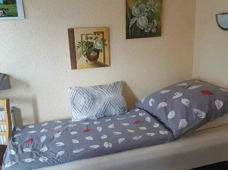 バルコニー付きシングルスタンダードルーム, Pension Haus Liesertal