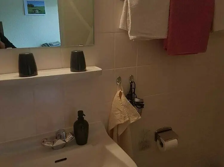 バルコニー付きシングルスタンダードルーム, Pension Haus Liesertal