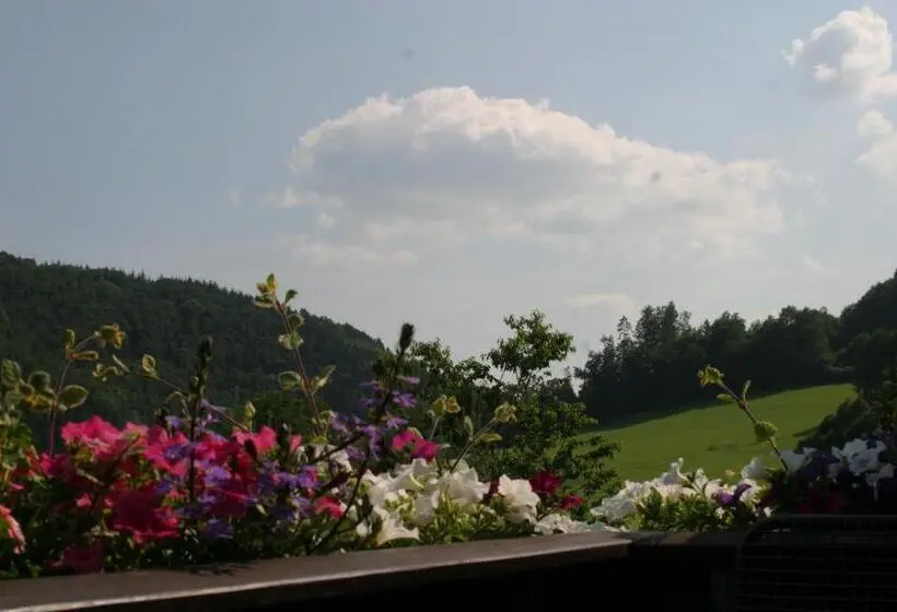 バルコニー付きシングルスタンダードルーム, Pension Haus Liesertal