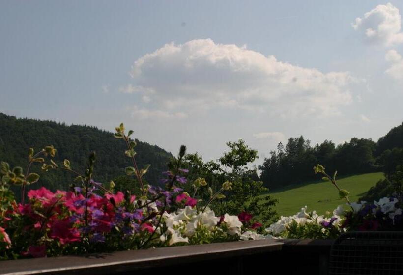 Номер Стандарт с Балконом, Pension Haus Liesertal