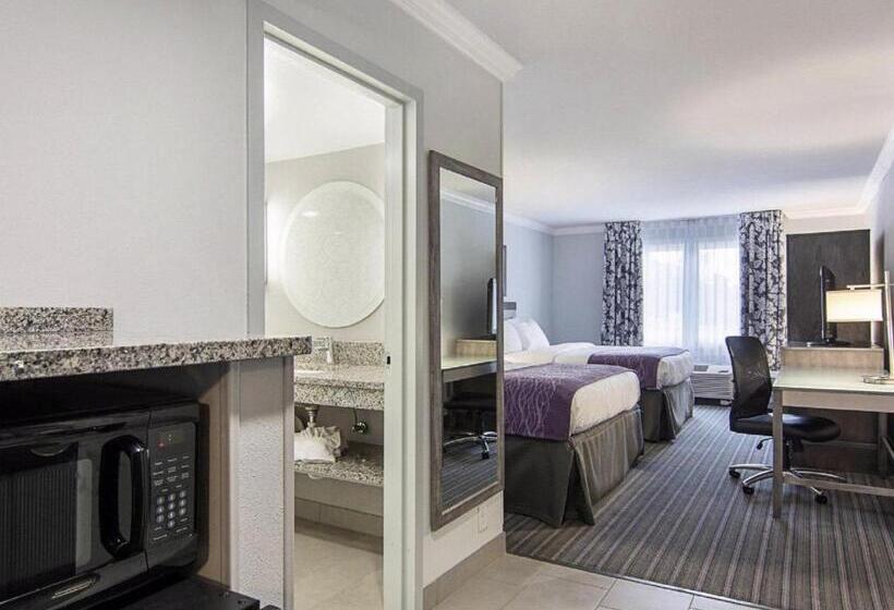 Номер Стандарт, Comfort Inn Williamsburg Gateway