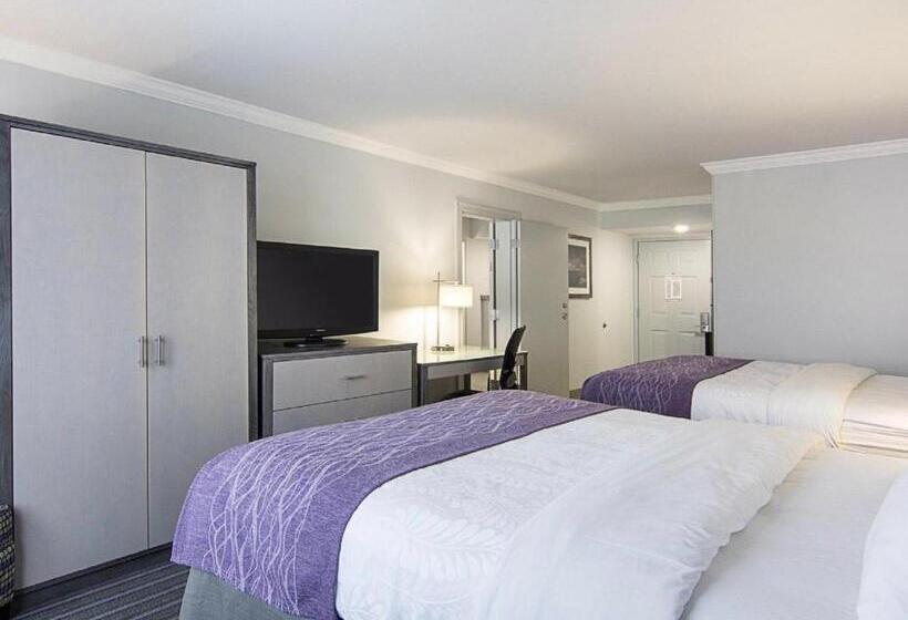 标准间, Comfort Inn Williamsburg Gateway