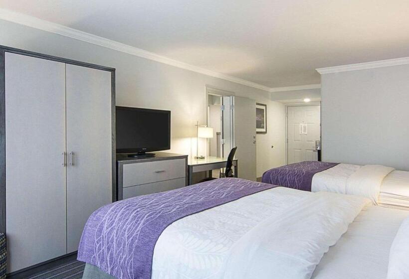 Номер Стандарт, Comfort Inn Williamsburg Gateway