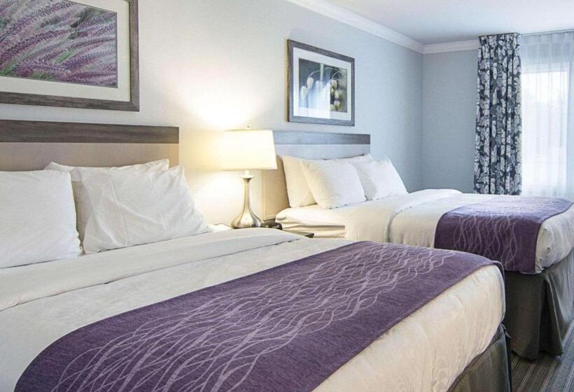 Номер Стандарт, Comfort Inn Williamsburg Gateway