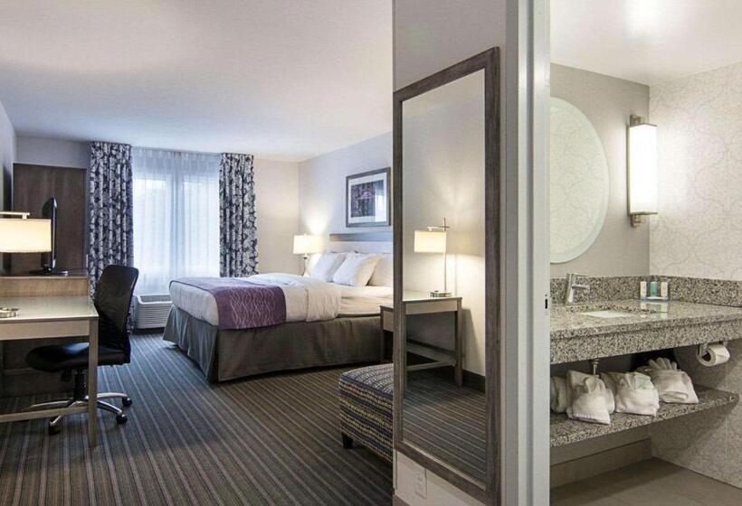 带大床的标准间, Comfort Inn Williamsburg Gateway
