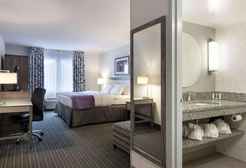 اتاق استاندارد با تخت بزرگ, Comfort Inn Williamsburg Gateway